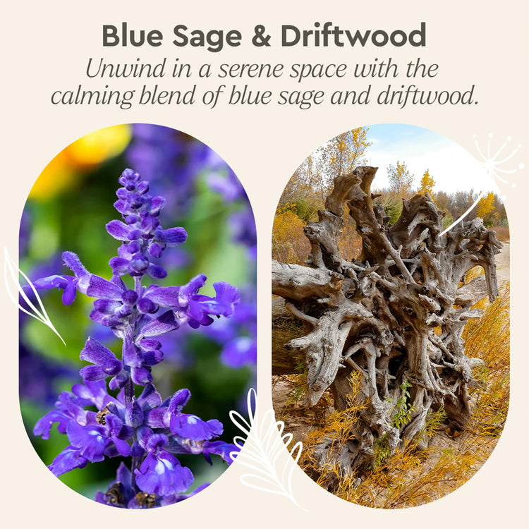 Puracy Blue Sage Driftwood granite cleaner bottle, natural stone surface cleaner for granite and other surfaces.