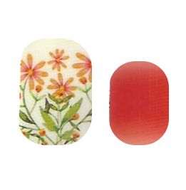 Daisies in Spring nail strips by Cutie Pop Nail Shop featuring floral spring design on adhesive nail strips.