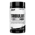 Tribulus Tribulus_b06b235d-814e-4565-9d0c-438f9a7cb2b8.webp, bottle of Nutrex Tribulus 1400 testosterone booster capsules with label.