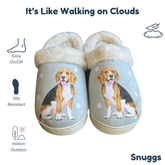 DoodleBug&
