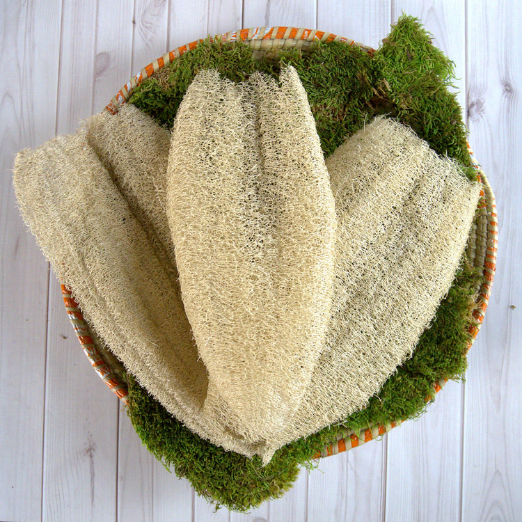 Ugandan Exfoliator Natural Loofah by Duma Mbili LLC, an African exfoliating scrubber for gentle skin exfoliation.