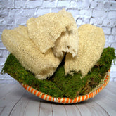 Ugandan Exfoliator Natural Loofah by Duma Mbili LLC, African exfoliating scrubber for gentle skin exfoliation and cleansing.