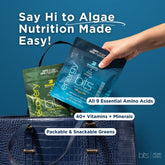 ENERGYbits small bag of algae bites, featuring the ENERGYbits brand logo and packaging for a healthy, natural snack.