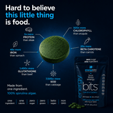 Large bag of ENERGYbits® Spirulina, a natural green superfood supplement in a resealable bag, showcasing vibrant dried spirulina flakes.
