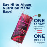 VITALITYbits® small bag of ENERGYbits, organic spirulina energy bites, in a compact package for quick, healthy energy.