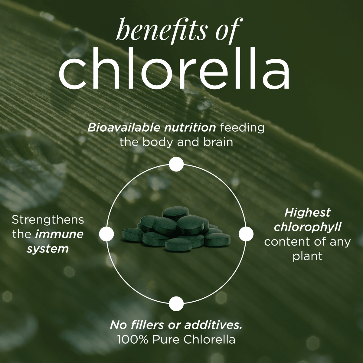 Large bag of ENERGYbits RECOVERYbits® Chlorella supplement for energy and detox, shown in a resealable package.