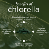 Large bag of ENERGYbits RECOVERYbits® Chlorella supplement for energy and detox, shown in a resealable package.