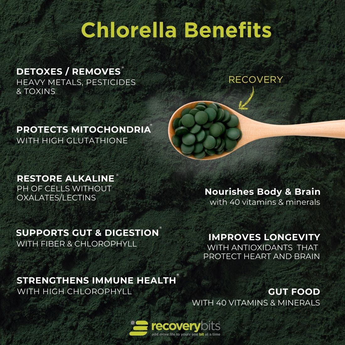 RECOVERYbits® small bag of ENERGYbits subscription with natural, nutrient-dense algae tablets for recovery and energy support.