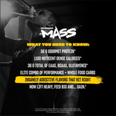 Mutant Mass weight gainer information sheet showing nutritional facts and supplement details for 5lbs container.