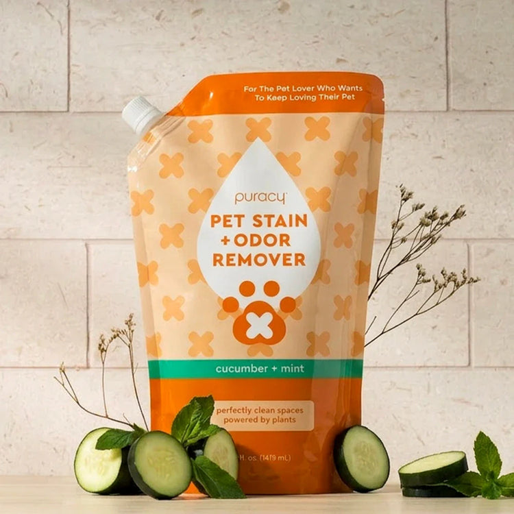 Puracy Pet Stain & Odor Remover bottle with cucumber mint scent, designed for removing pet stains and odors from carpets and furniture.