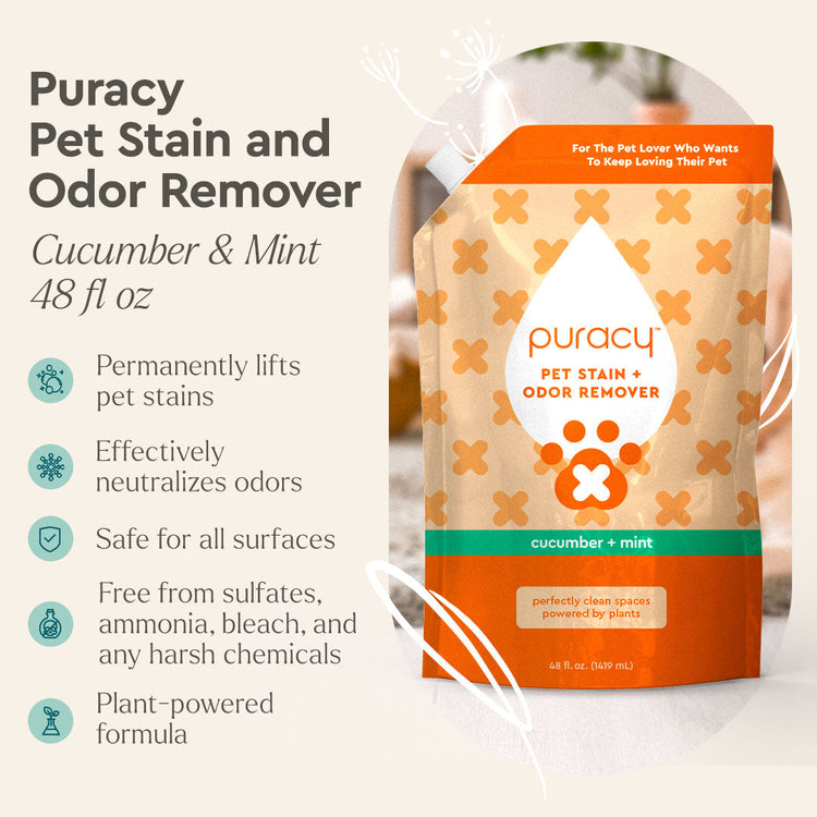 Puracy Pet Stain and Odor Remover bottle, natural pet cleaning solution with cucumber mint scent, designed to eliminate stains and odors.
