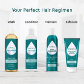 Puracy dry shampoo bottle, benzene and silicone-free, color-safe formula for fresh, clean hair without water.